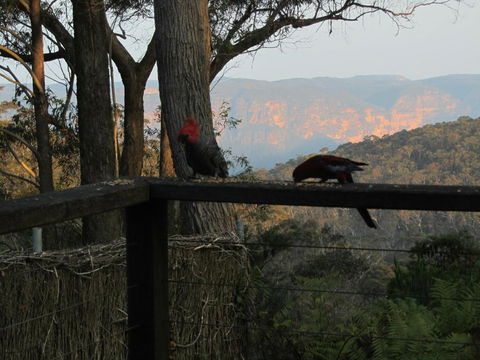 Canyon Cottage - Accommodation Bookings 6