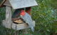 Canyon Cottage - thumb 4