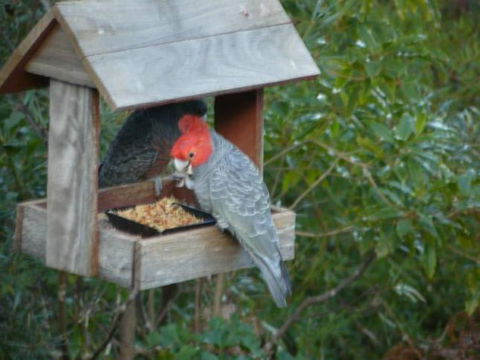 Canyon Cottage - Accommodation Bookings 4