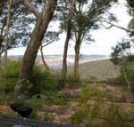 Canyon Cottage - Accommodation Bookings