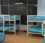 Wombat Backpackers - Accommodation Bookings