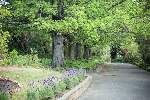 Graham Apartments - Accommodation Bookings 1