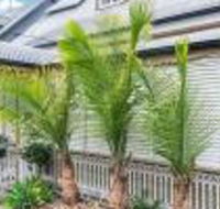 One Thornbury Boutique B  B - Accommodation Bookings