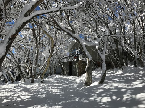 Amber Lodge Mt Buller - Hostel - Accommodation Bookings 2