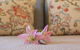 Stonewell Cottages & Vineyards - thumb 2