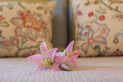 Stonewell Cottages & Vineyards - Accommodation Bookings 2
