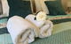 Beachport Bed And Breakfast - thumb 7