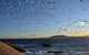 Narooma Motel - thumb 3