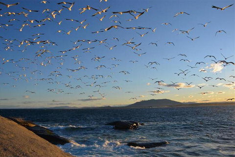 Narooma Motel - Accommodation Bookings 3