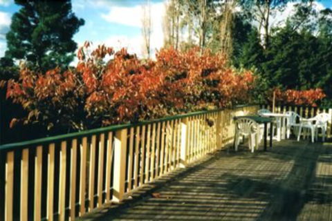 Heronswood House B & B - Accommodation Bookings 7
