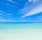 Hawks Nest Motel - Accommodation Bookings