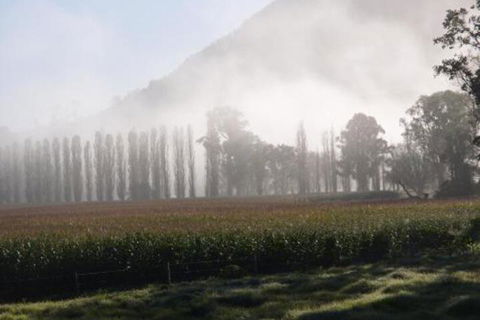 Barrington River House - Accommodation Bookings 4