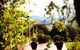 Barrington River House - thumb 7