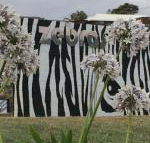 Zebras Guest House - Accommodation Bookings