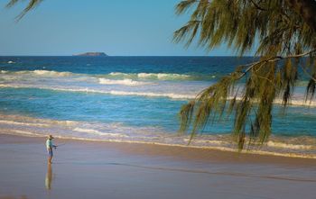 Pacific Royale Holiday Apartment 313 - Accommodation Bookings 2