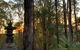 Riveresque - thumb 4