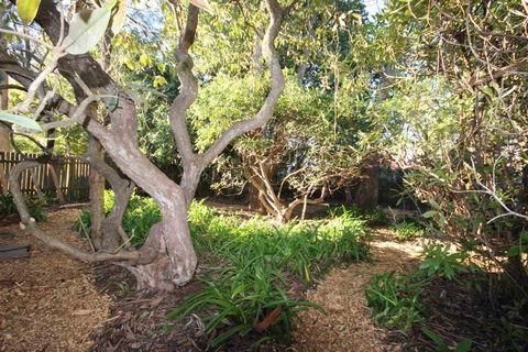 Stonewall Cottage For Two With Fireplace - Accommodation Bookings 2