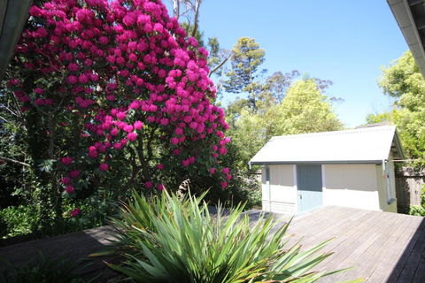 Stonewall Cottage For Two With Fireplace - Accommodation Bookings 5