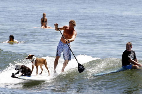 Noosa Beach Apartment On HASTING St. French Quarter Resort.Noosa Heads - Accommodation Bookings 5
