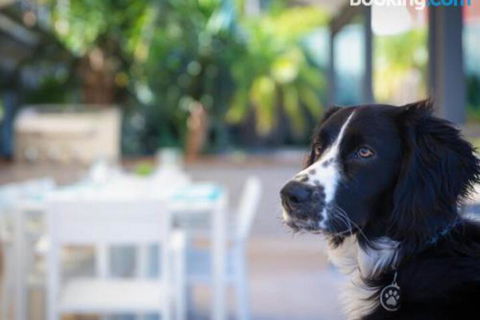 Bay Dream Believer 16 Verona Road Pet Friendly Boat Parking & WIFI - Accommodation Bookings 4