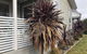 Taboga 3 Bedroom 3 Bathroom Villia - thumb 1