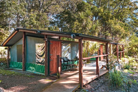 Binna Burra Rainforest Campsite - Accommodation Bookings 3