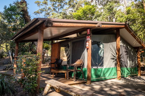 Binna Burra Rainforest Campsite - Accommodation Bookings 5