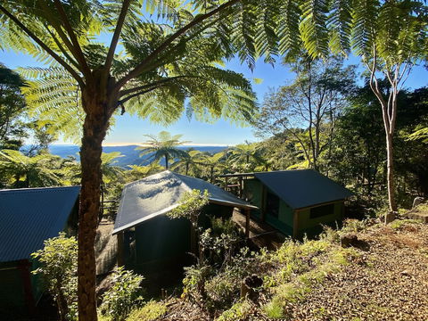 Binna Burra Rainforest Campsite - Accommodation Bookings 0