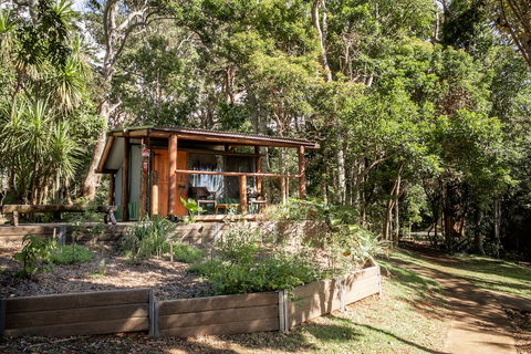 Binna Burra Rainforest Campsite - Accommodation Bookings 1