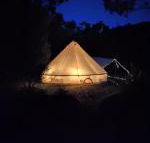 Glamping at Zeehan Bush Camp - Accommodation Bookings