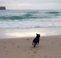 Breakers at Mudjimba Beach - Accommodation Bookings