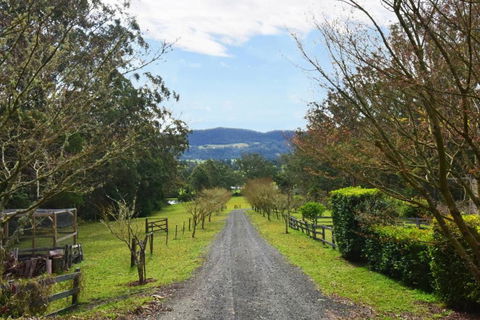 Maple Cottage - Accommodation Bookings 6