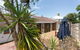 Dingo At White Gum Lodge - thumb 5