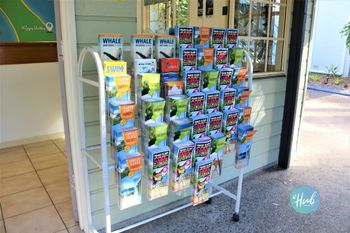 The Hub Hervey Bay - Accommodation Bookings 0
