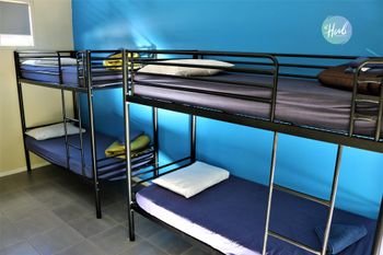 The Hub Hervey Bay - Accommodation Bookings 6