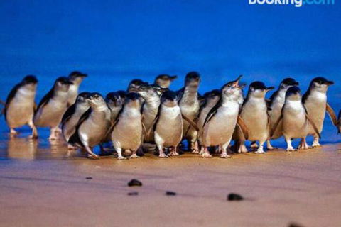 Lantana - Accommodation Bookings 0