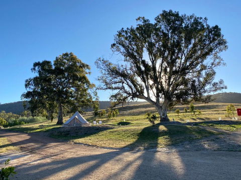Mansfield Glamping - Accommodation Bookings 3