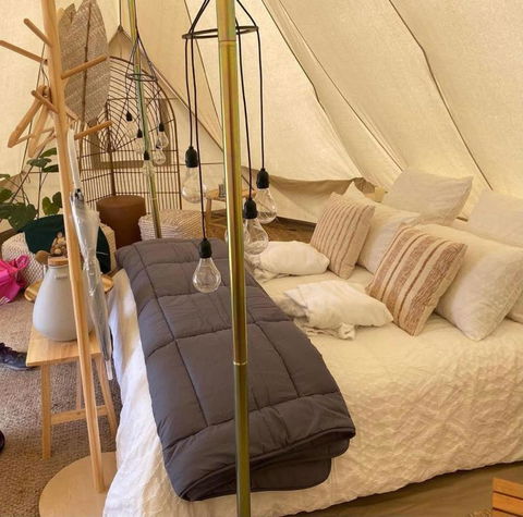 Mansfield Glamping - Accommodation Bookings 4