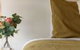 Trentham Central Villas 6 BR / Ensuite / Sleeps 12 - thumb 0
