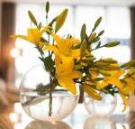 KUI Manhattan Apartments - Accommodation Bookings