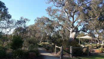 Mt Cooper Inn - Accommodation Bookings 5