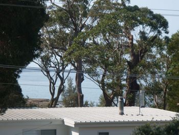 Bawley Break - Accommodation Bookings 4