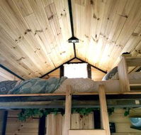 Big Tiny Dale View Tiny House - Accommodation Bookings