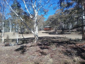Gooandra Alpine Cabins - Accommodation Bookings 6