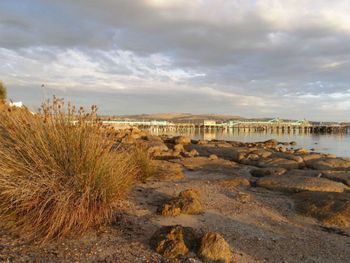 Port Lincoln Holiday Houses - Accommodation Bookings 4