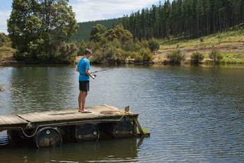 Nannup Valley Chalets - Accommodation Bookings 1