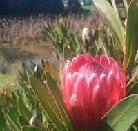 Creswick Cabin Retreat - Accommodation Bookings