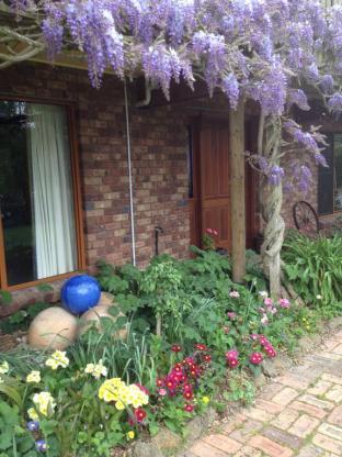 Wisteria Lodge - Accommodation Bookings 4