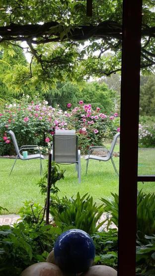 Wisteria Lodge - Accommodation Bookings 5