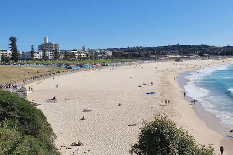 Incredible Location 2 Bedroom Bondi Beach Apartment - Accommodation Bookings 1